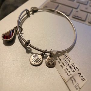 New $20 Alex and Ani January birthstone